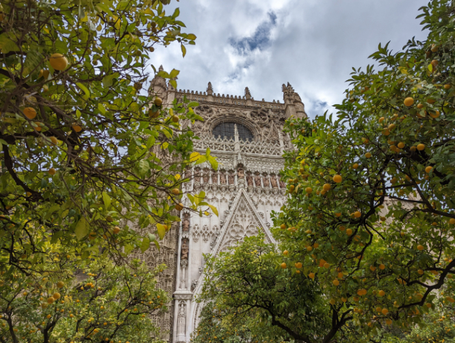 Seville Cathedral is the cities most significant building