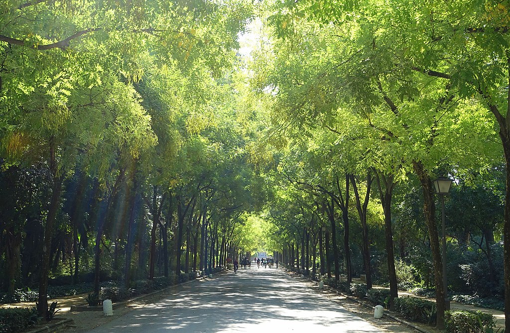 The Parque de Maria Luisa is one of Seville's greatest examples of Landscape Architecture 