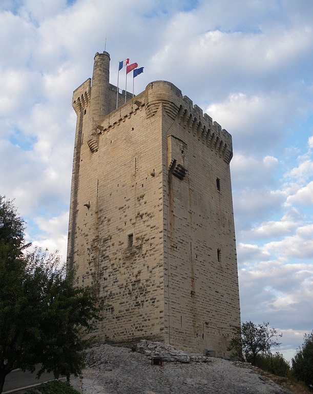 Avignon is a city that prospered in the middle ages, thanks largely to its bridge. 